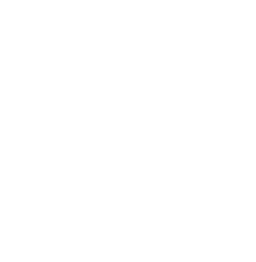 Feather Logo Icon