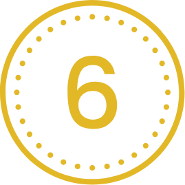 number 6 in a styled circle